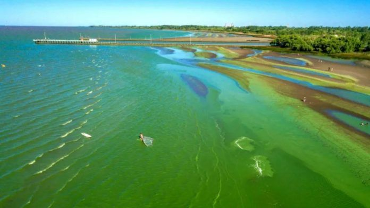 Emiten alerta naranja por la presencia de cianobacterias en el Rio de la Plata