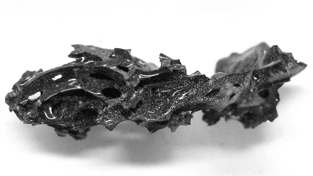 En el cráneo de un joven de Herculano, del que se extrajeron fragmentos brillantes, se descubrieron células nerviosas perfectamente conservadas. La investigación demostró que su cerebro literalmente se convirtió en vidrio debido a lo extremo del proceso volcánico. En el cráneo de un joven de Herculano, del que se extrajeron fragmentos brillantes, se descubrieron células nerviosas perfectamente conservadas. La investigación demostró que su cerebro literalmente se convirtió en vidrio debido a lo extremo del proceso volcánico.