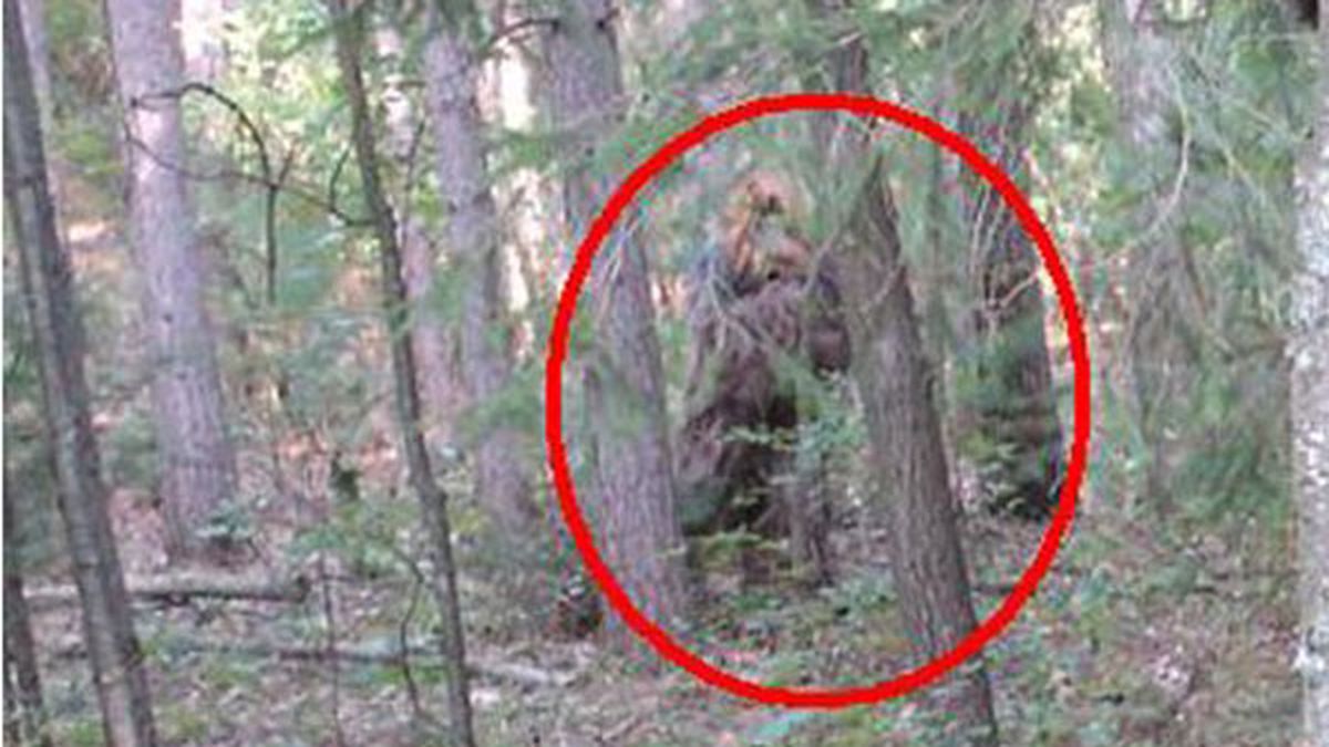 Nuevo video de Pie Grande circula en la red