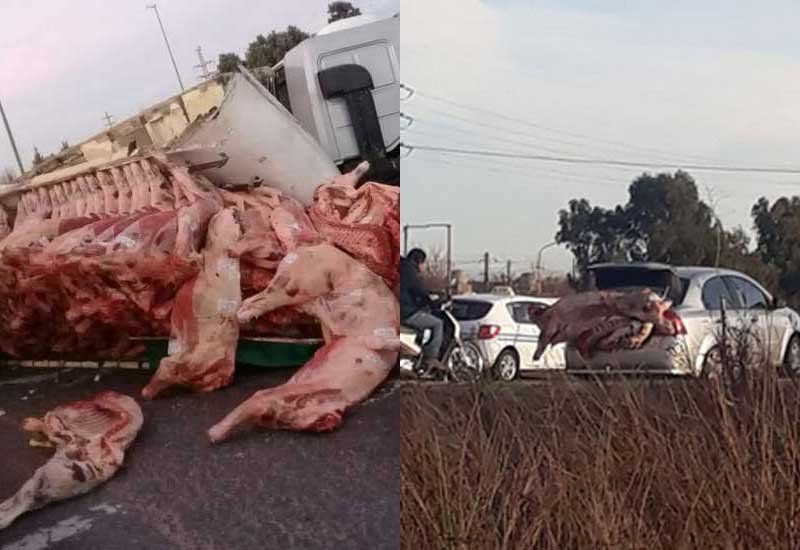 De un lado, el camión volcado. Del otro, medias reses en el baúl de un auto. (Fotos: @AlertaProvincia).