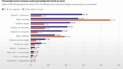 La situación de las deudas según el analista&nbsp;Mati Fernández con datos del BCRA.