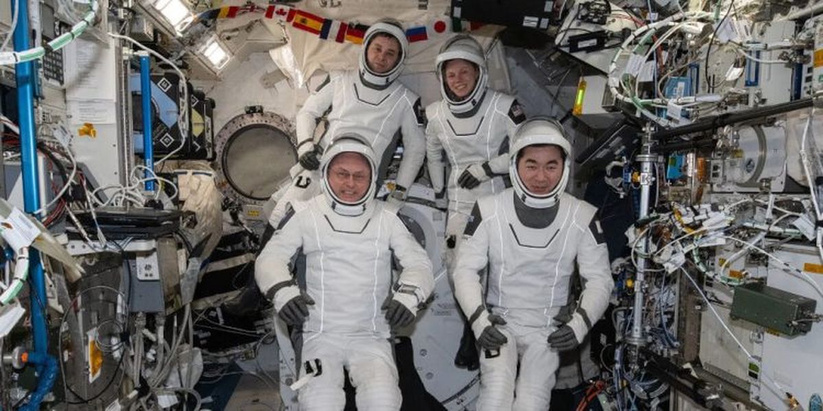 Astronautas de la misión Crew-11 de la NASA que regresarán a casa antes de lo previsto / Imagen: NASA
