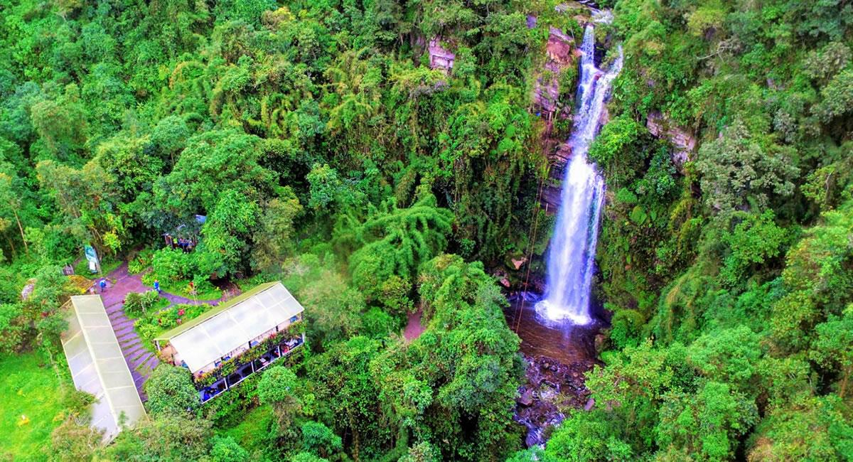 Es la cascada más alta de Colombia y la sexta más alta en América del Sur. Foto: Colombia.com