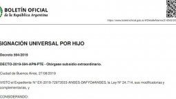 altText(Ya es oficial el pago de $1.000 para titulares de la Asignación Universal por Hijo)}