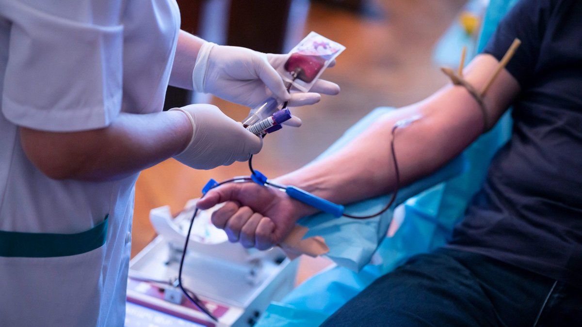 Santa Fe bate récords en donación de sangre: 6.330 donantes en 2024