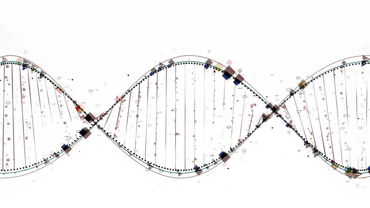 El Día Mundial del ADN se celebra cada 25 de abril y apunta destacar el rol de la genética en la detección temprana de enfermedades cada vez más frecuentes. El Día Mundial del ADN se celebra cada 25 de abril y apunta destacar el rol de la genética en la detección temprana de enfermedades cada vez más frecuentes.