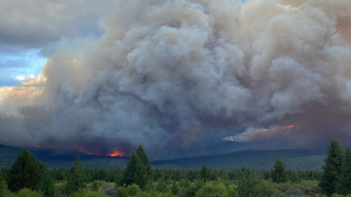 Preocupan las condiciones del viento en el incendio en Cuesta del Ternero...