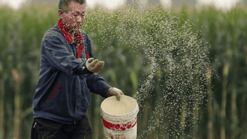 China quiere potenciar su producción agrícola, en particular la de soja. China quiere potenciar su producción agrícola, en particular la de soja.