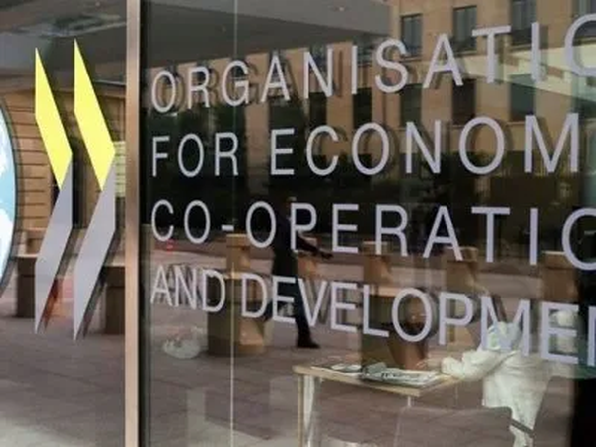 La OCDE elogia por un lado el ajuste de Javier Milei pero por otro lado advierte que debilitará a la industria nacional. La OCDE elogia por un lado el ajuste de Javier Milei pero por otro lado advierte que debilitará a la industria nacional.