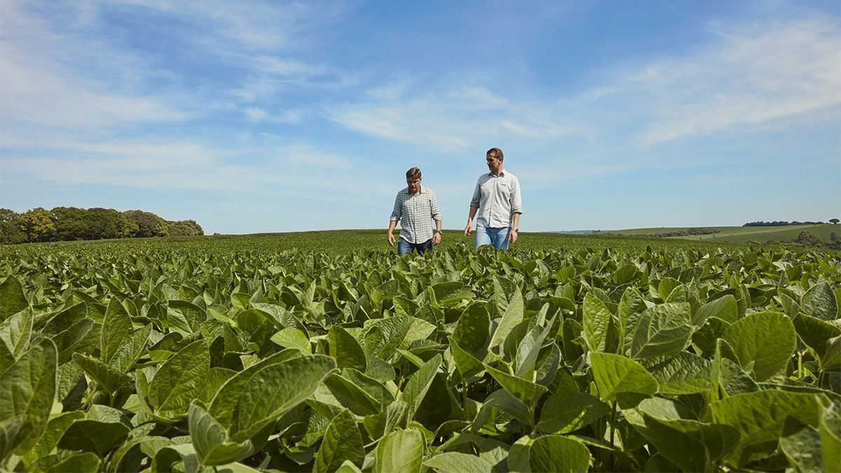 Laempresa BASF Soluciones para la Agricultura anunció que completó con éxito laadquisición de AgBitech y amplía su portafolio de control biológico.