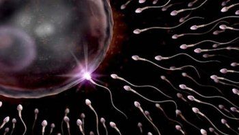 El esperma del donante 7069 estaba 'fallado': Registro Internacional ya