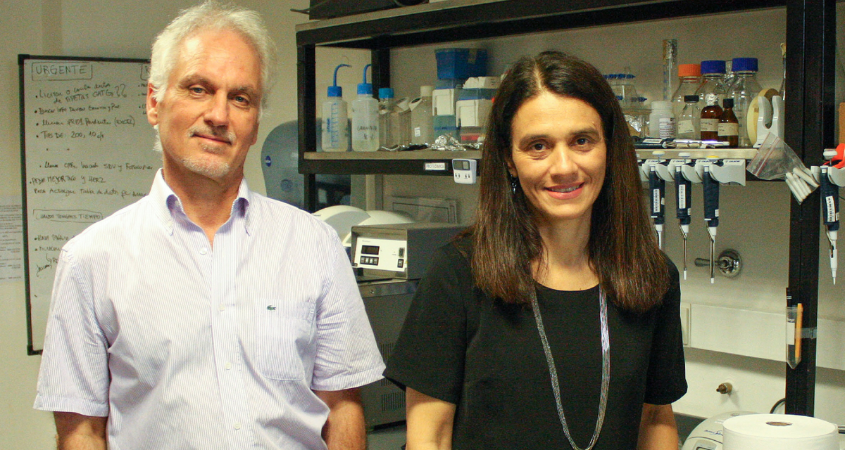 Investigadores Osvaldo Podhajcer y Andrea Llera.