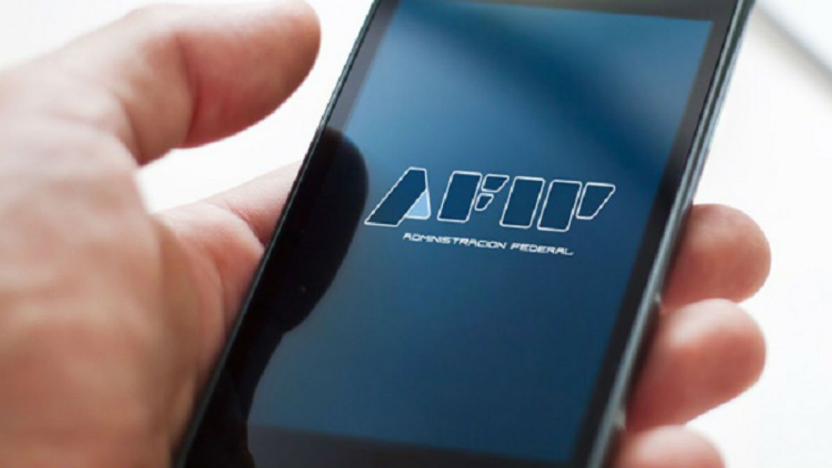 La resolución de la AFIP tiene por objetivo agilizar la operatividad y reducir los costos para los importadores.