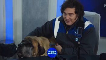 Javier Milei con su perro Conan en el estudio de Neura. Javier Milei con su perro Conan en el estudio de Neura.