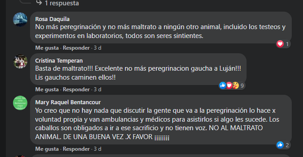La Peregrinación a Luján apuntó contra los gauchos y ellos se ausentarán