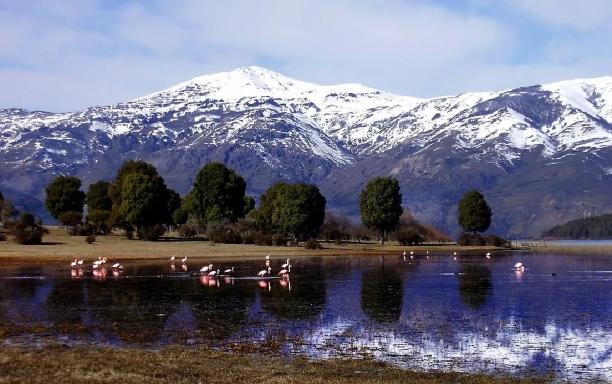 Lago Rosario, en la Patagonia. (Foto: Diario Río Negro). Lago Rosario, en la Patagonia. (Foto: Diario Río Negro).