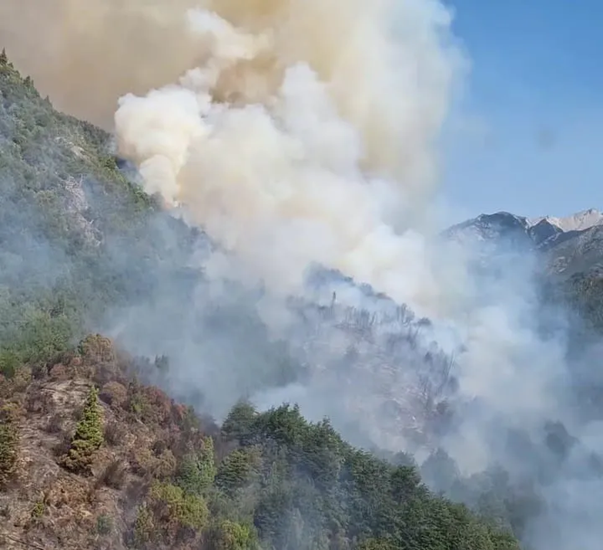 Con el regreso de las altas temperaturas, se reactivaron algunos focos de incendio en Puerto Patriada.