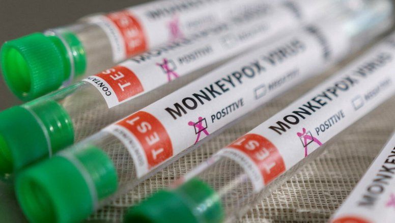 Sin vacunas, científicos buscan un tratamiento para la viruela símica