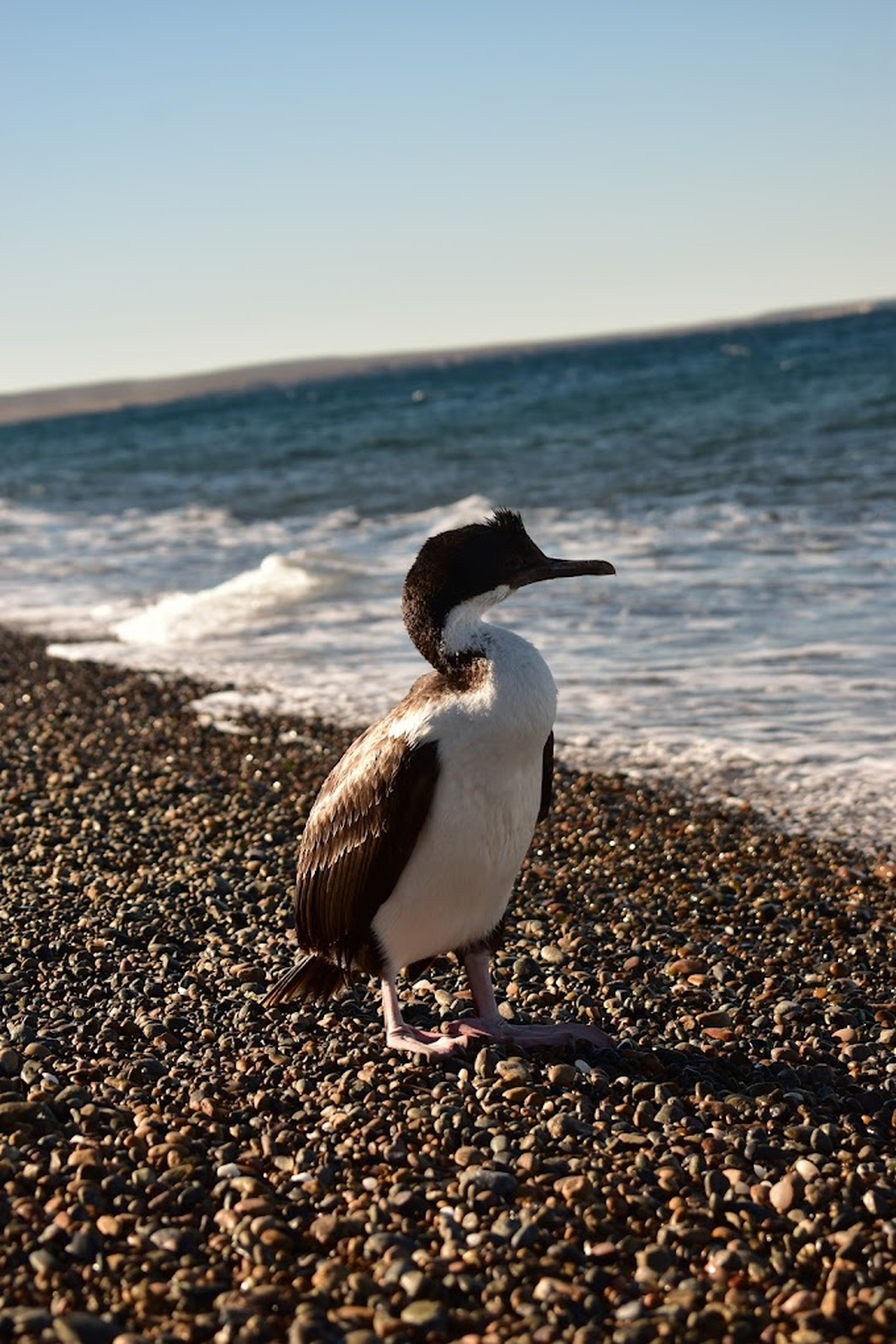 Foto: Agustín Pereyra. Foto: Agustín Pereyra.