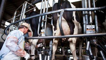 Nación y Santa Fe anunciaron este martes créditos para los tambos de la provincia, el cual podrá ser pagado con leche de su propia producción. Nación y Santa Fe anunciaron este martes créditos para los tambos de la provincia, el cual podrá ser pagado con leche de su propia producción.