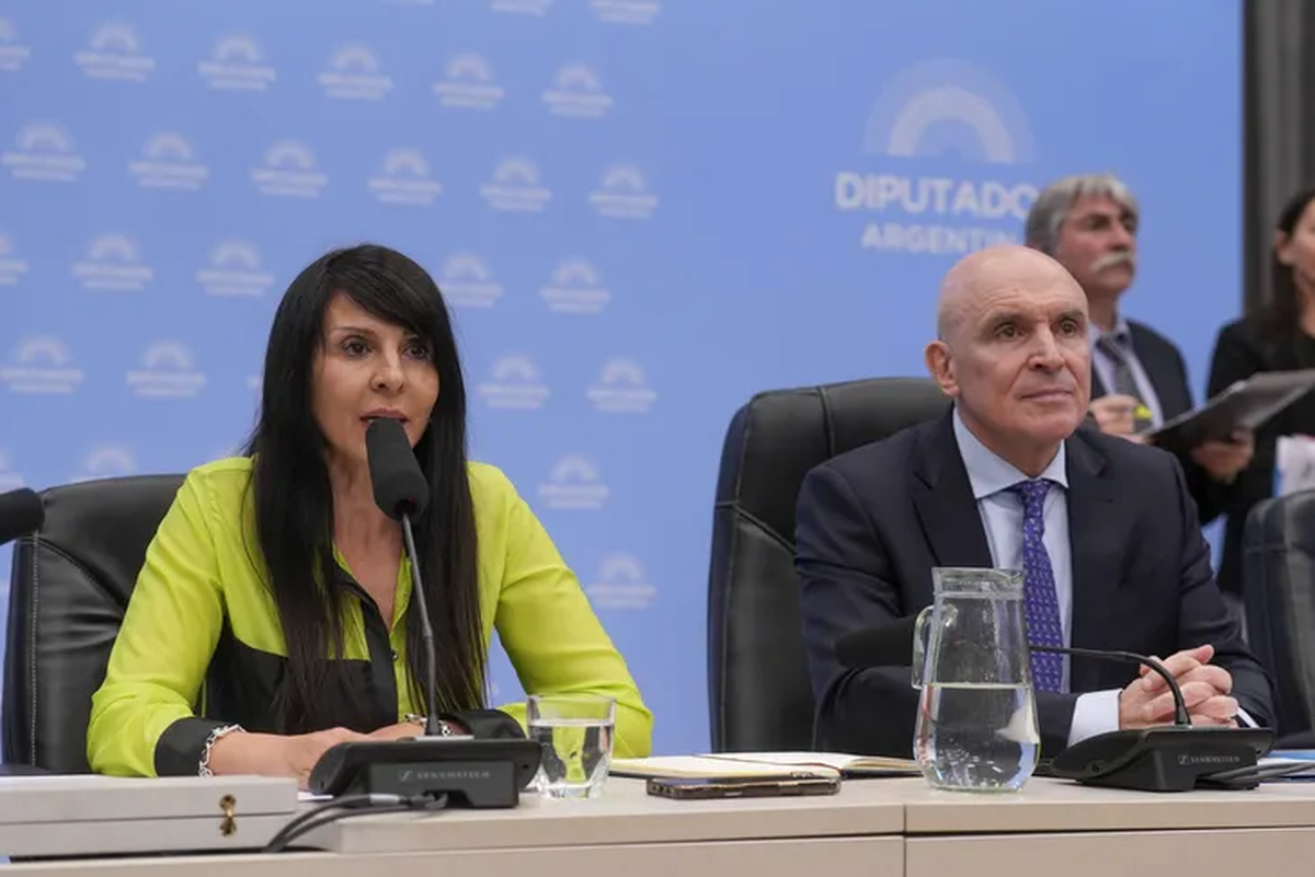 Lorena Villaverde y José Luis Espert, candidatos de La Libertad Avanza Lorena Villaverde y José Luis Espert, candidatos de La Libertad Avanza