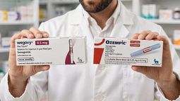 El fármaco semaglutida (Ozempic/Wegovy) desarrollado &nbsp;para tratar la diabetes tipo 2 y la obesidad dio una ralentización del 9% del envejecimiento biológico, la mejor evidencia clínica acumulada hasta ahora. &nbsp;