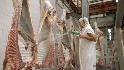 Carne: Confirman reapertura de exportaciones con nuevo esquema (cupos)