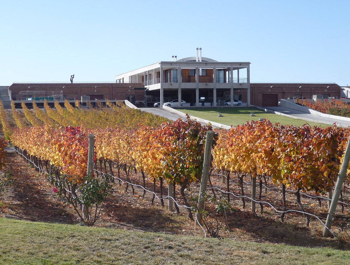 No te pierdas de conocer la Bodega Monteviejo. Foto: South America Wine Guide