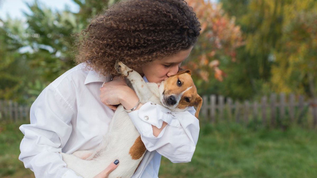 cómo interactúan los perros con los humanos