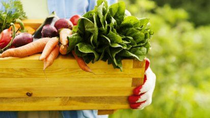 Alimentos orgánicos, mucho más que una moda