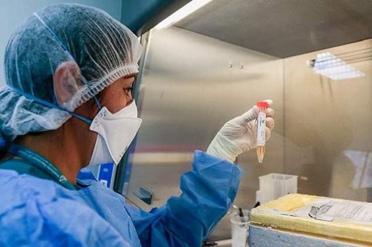 Importante hallazgo de investigadores argentinos.