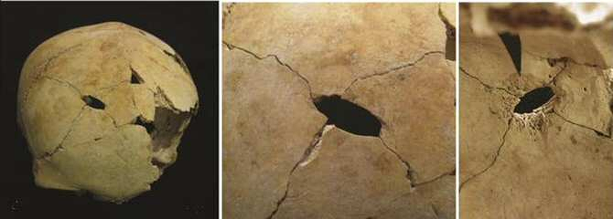 Una investigación que nos recuerda que la humanidad siempre ha convivido con su lado más salvaje. Una investigación que nos recuerda que la humanidad siempre ha convivido con su lado más salvaje.