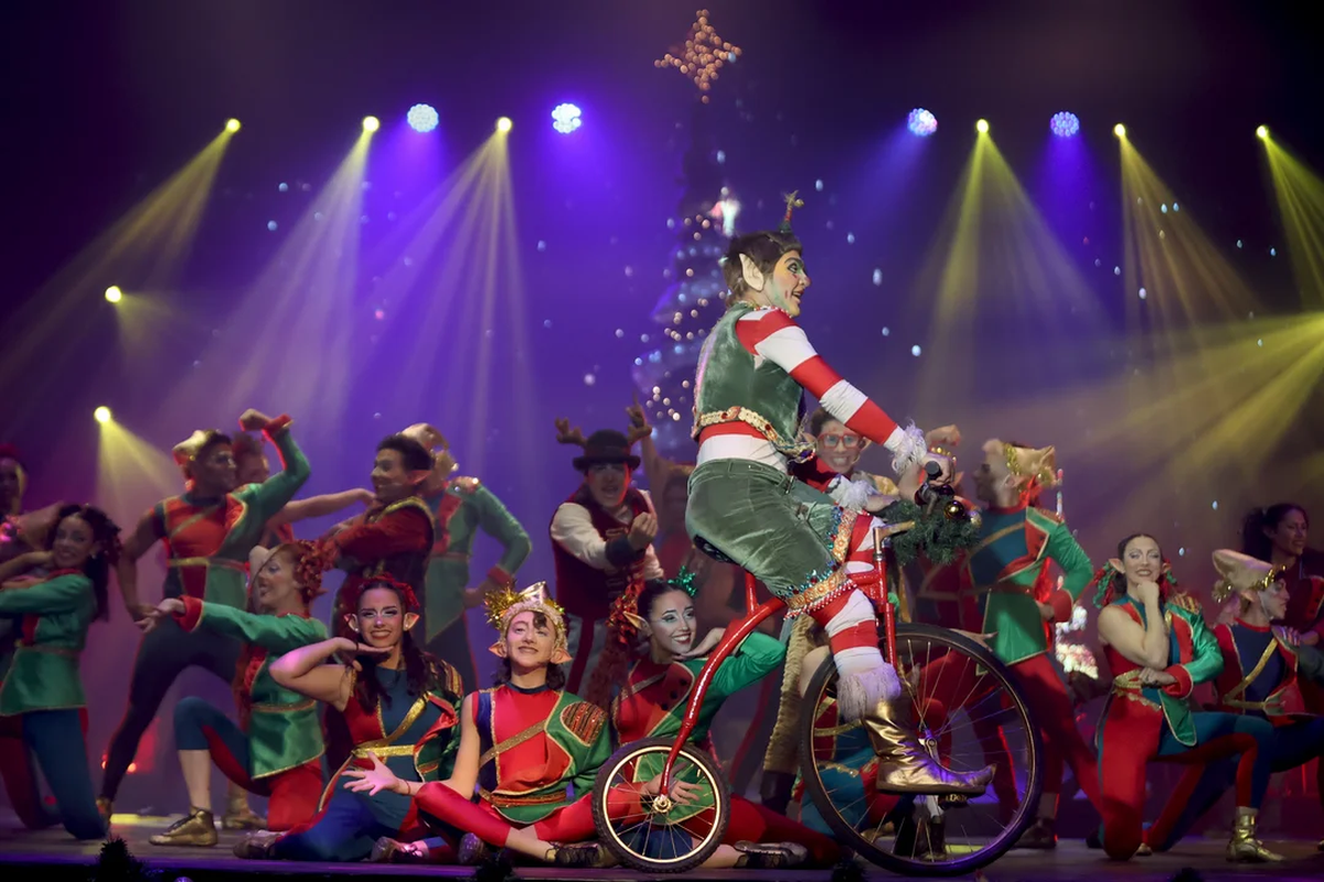 El circo de Flavio Mendoza desembarca en Rosario. El circo de Flavio Mendoza desembarca en Rosario.