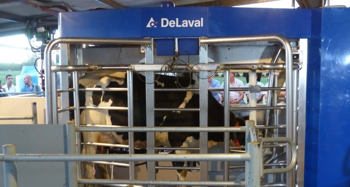 Los empleados que la fábrica tenía en Santa Fe quedaron sorprendidos. Los empleados que la fábrica tenía en Santa Fe quedaron sorprendidos.