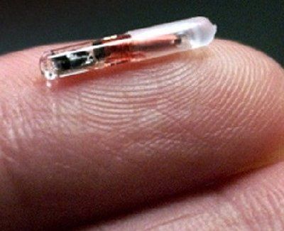 microchip1.jpg