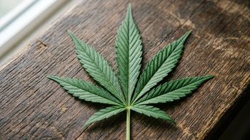Marihuana para dormir: crece el uso de sustancias contra el insomnio