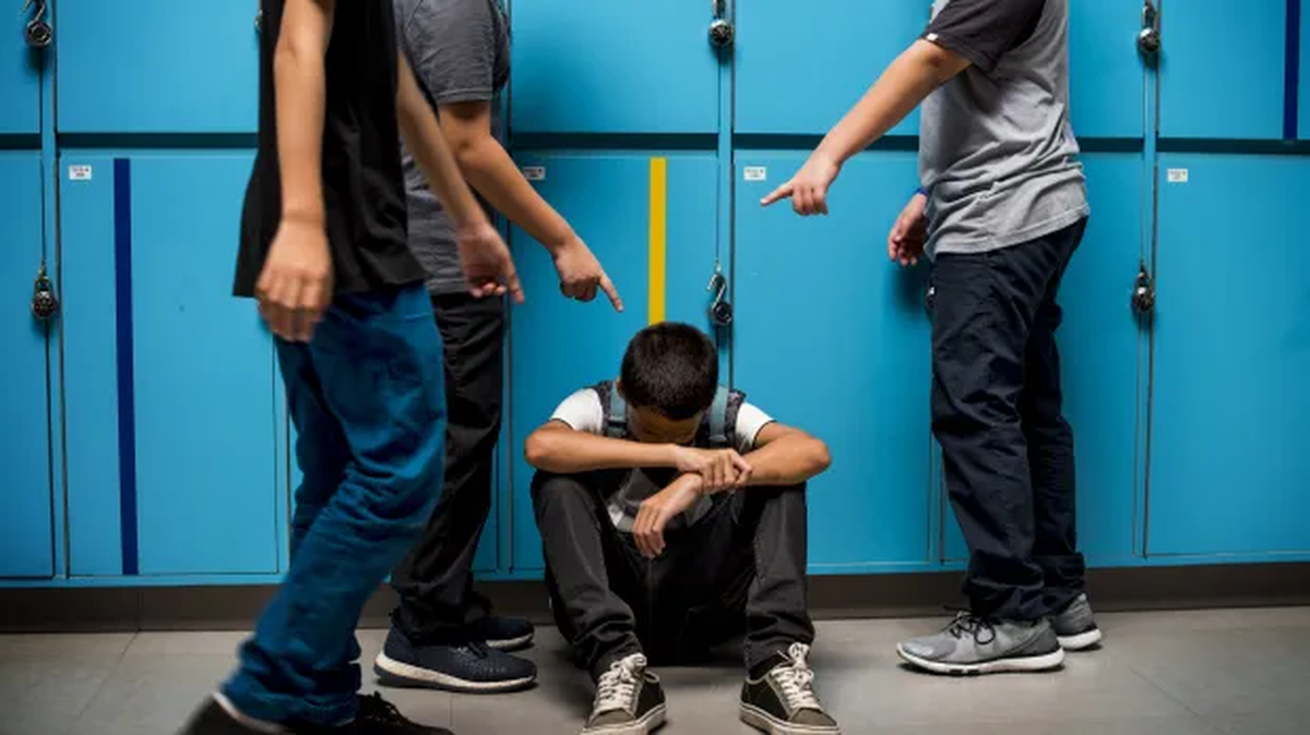 Acoso escolar pareciera ser la semilla de la violencia armada en las escuelas. Acoso escolar pareciera ser la semilla de la violencia armada en las escuelas.