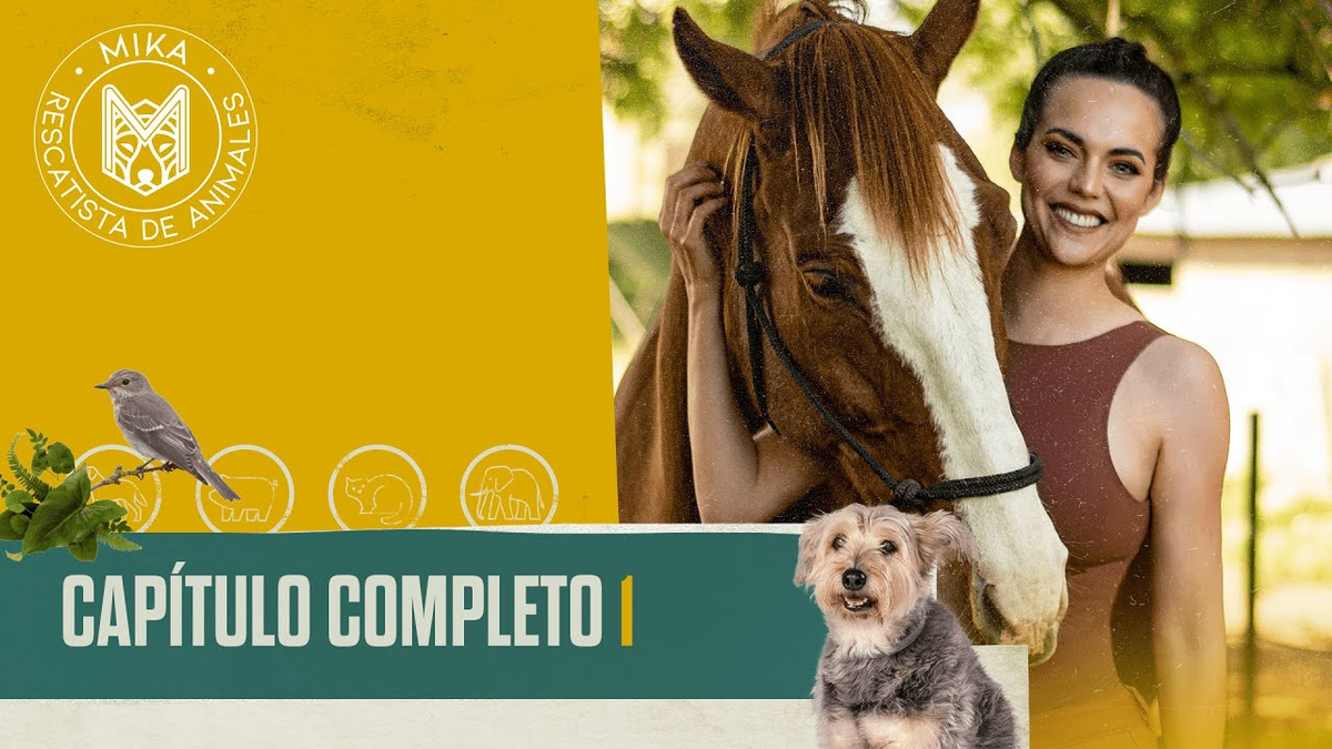 Telefe tiene un nuevo programa dedicado a los animales. Telefe tiene un nuevo programa dedicado a los animales.