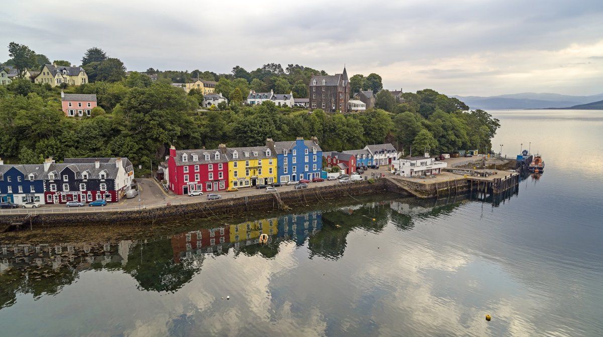 Foto:&nbsp;Wild About Argyll﻿
