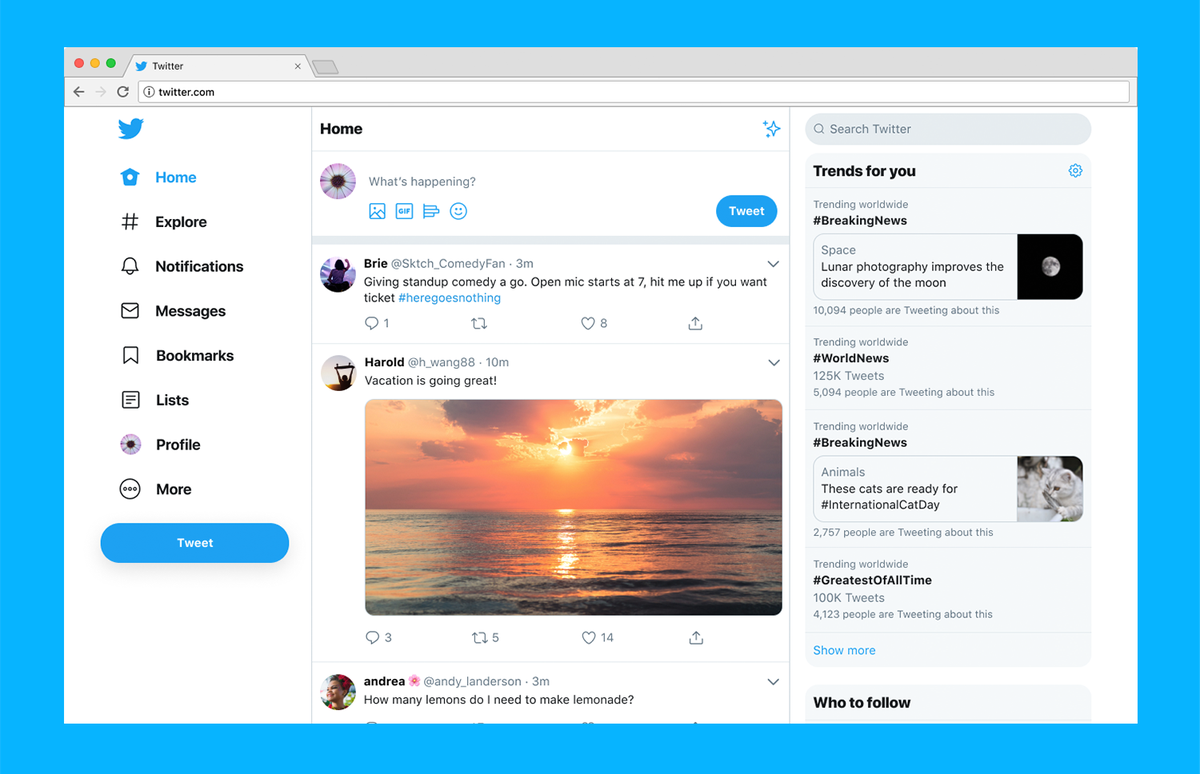 Twitter presenta dichos problemas en la home de la pagina web.