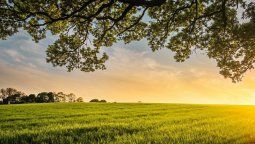 altText(Fuerte apoyo de los ministros de Agricultura para desactivar el paro del campo)}