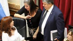 altText(No llegó el proyecto del aborto al Congreso y ya se partió el bloque oficialista en el Senado)}