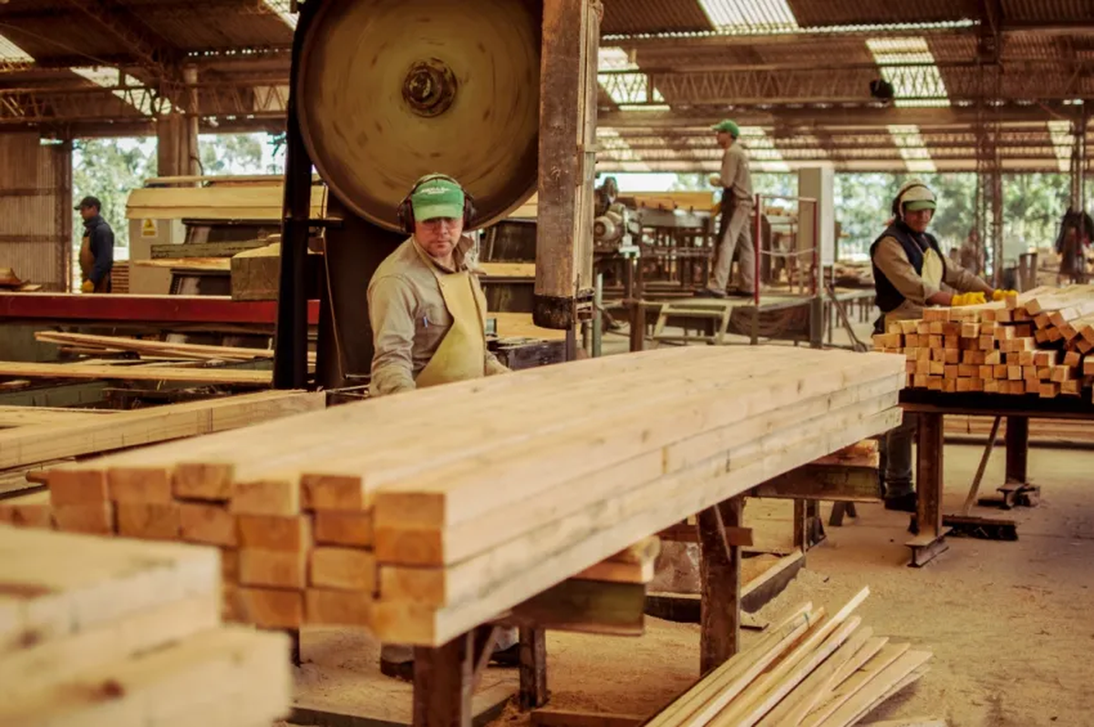 Madera y muebles lideró el crecimiento interanual en enero con un 25,9%. Madera y muebles lideró el crecimiento interanual en enero con un 25,9%.