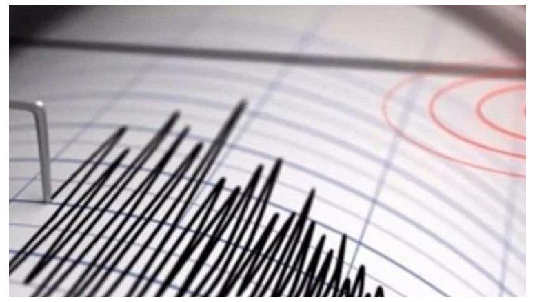 Tras el temblor de fines de noviembre, un nuevo sismo afectó la misma zona del norte neuquino