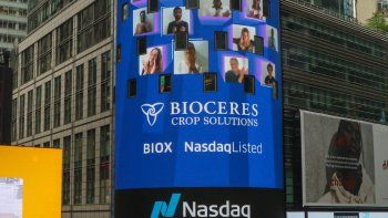 Bioceres se desploma en Wall Street: De promesa unicornio a acción basura por debajo de US$1