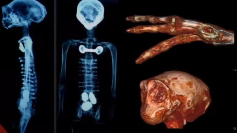 Extraterrestres del Congreso: Ovovivíparos y con tres dedos 
