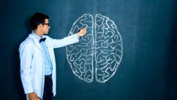 ¿Qué comidas afectan al cerebro? Neurocirujano evita este alimento.
