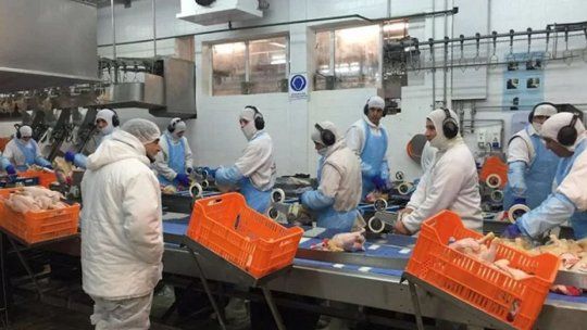 Crece la tensión: Cierre sorpresivo de una histórica planta avícola, suspensiones que se extienden y marcha