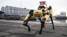 robot-mascota-soldado