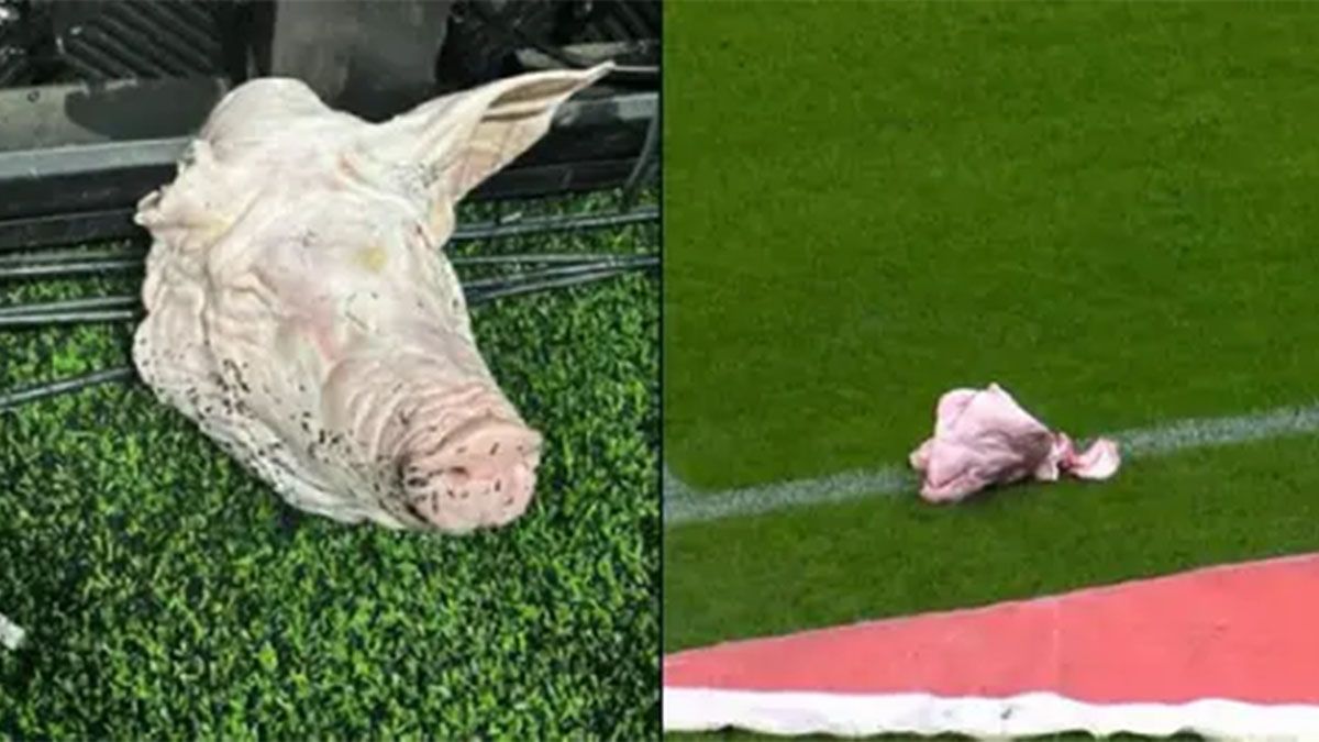 Corinthians, dirigido por Ramón Díaz, se quedó con el clásico Paulista frente al Palmeiras pero los hinchas le arrojaron una cabeza de cerdo al campo juego. Corinthians, dirigido por Ramón Díaz, se quedó con el clásico Paulista frente al Palmeiras pero los hinchas le arrojaron una cabeza de cerdo al campo juego.